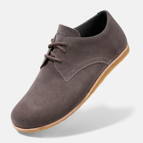 BÄR Clint - Graubraun