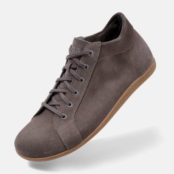 BÄR Markus - Graubraun