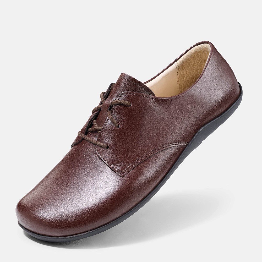 BÄR Blake - Dunkelbraun