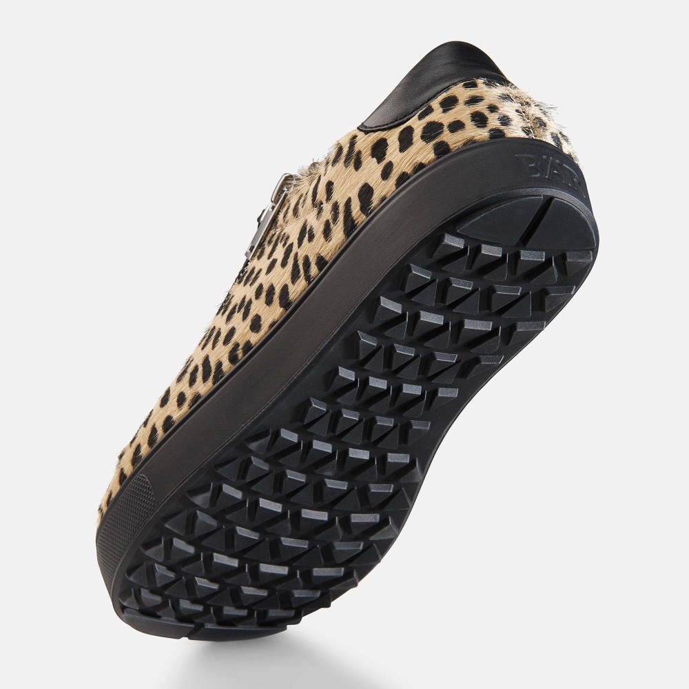 BÄR Margot - Schwarz / Leo