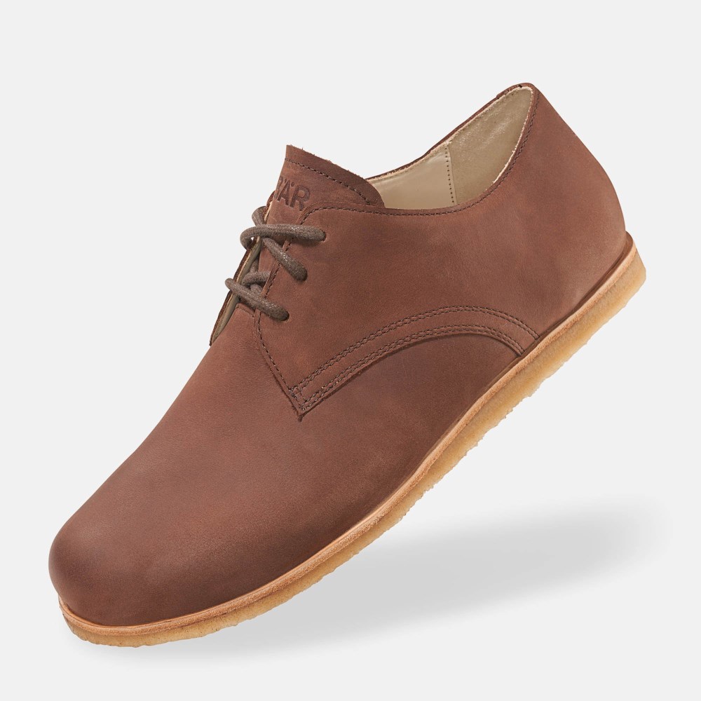 BÄR Clint - Dunkelbraun