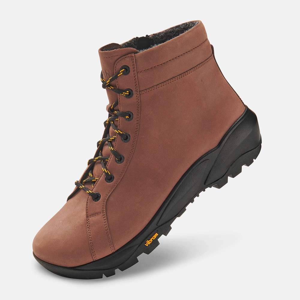 BÄR Feldberg - Dunkelbraun