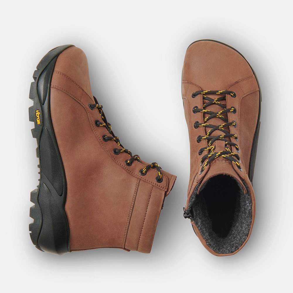 BÄR Feldberg - Dunkelbraun