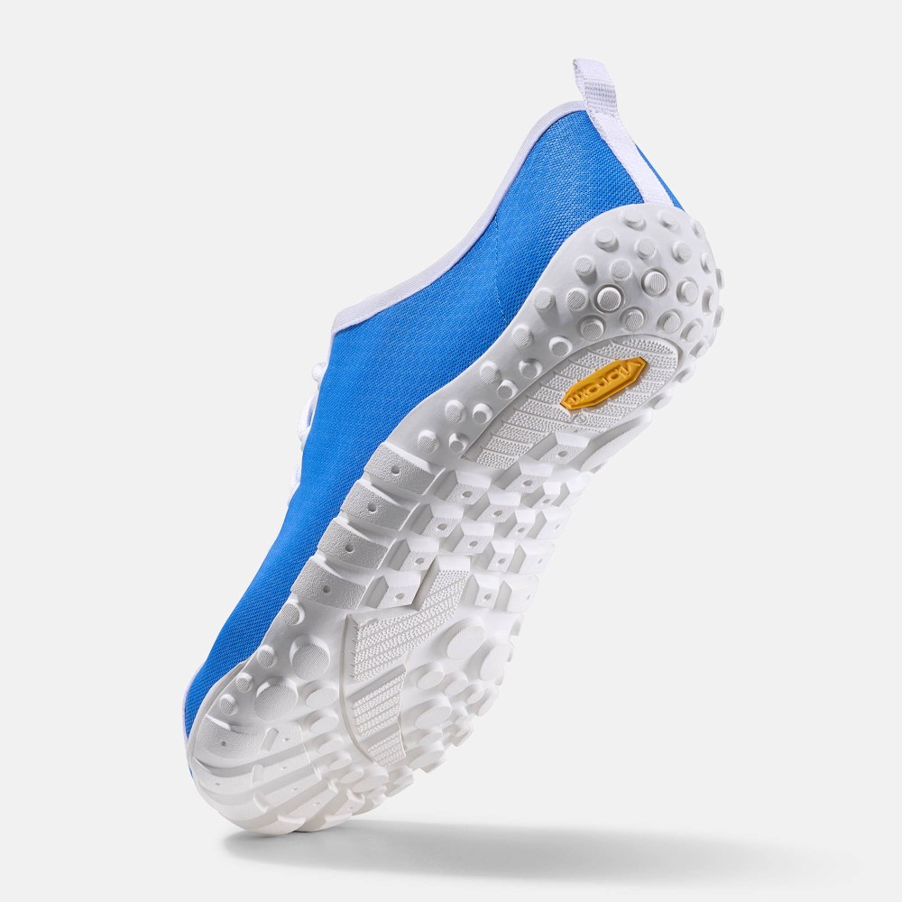 BÄR John - Electricblau