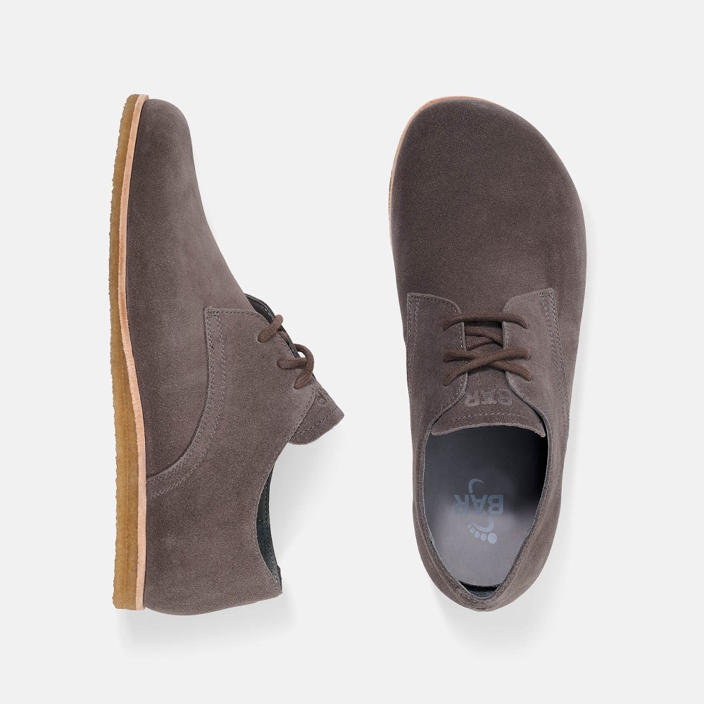 BÄR Clint - Graubraun