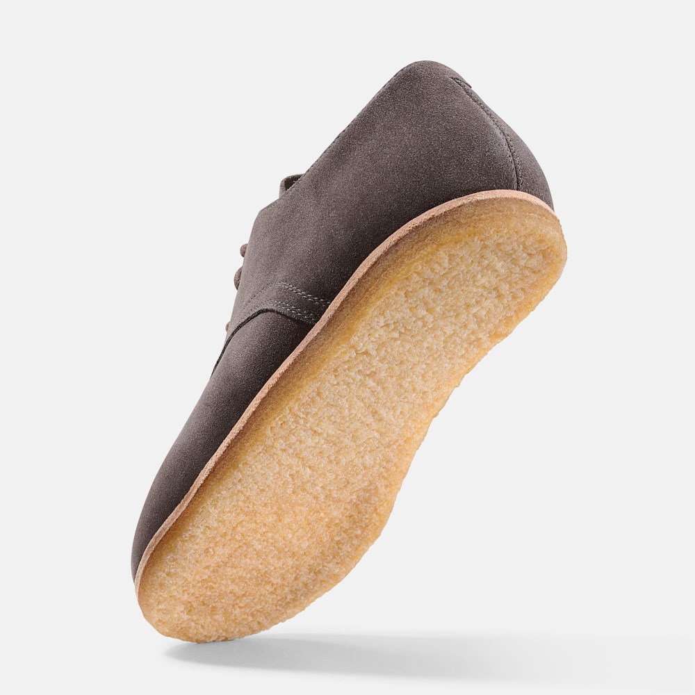 BÄR Clint - Graubraun