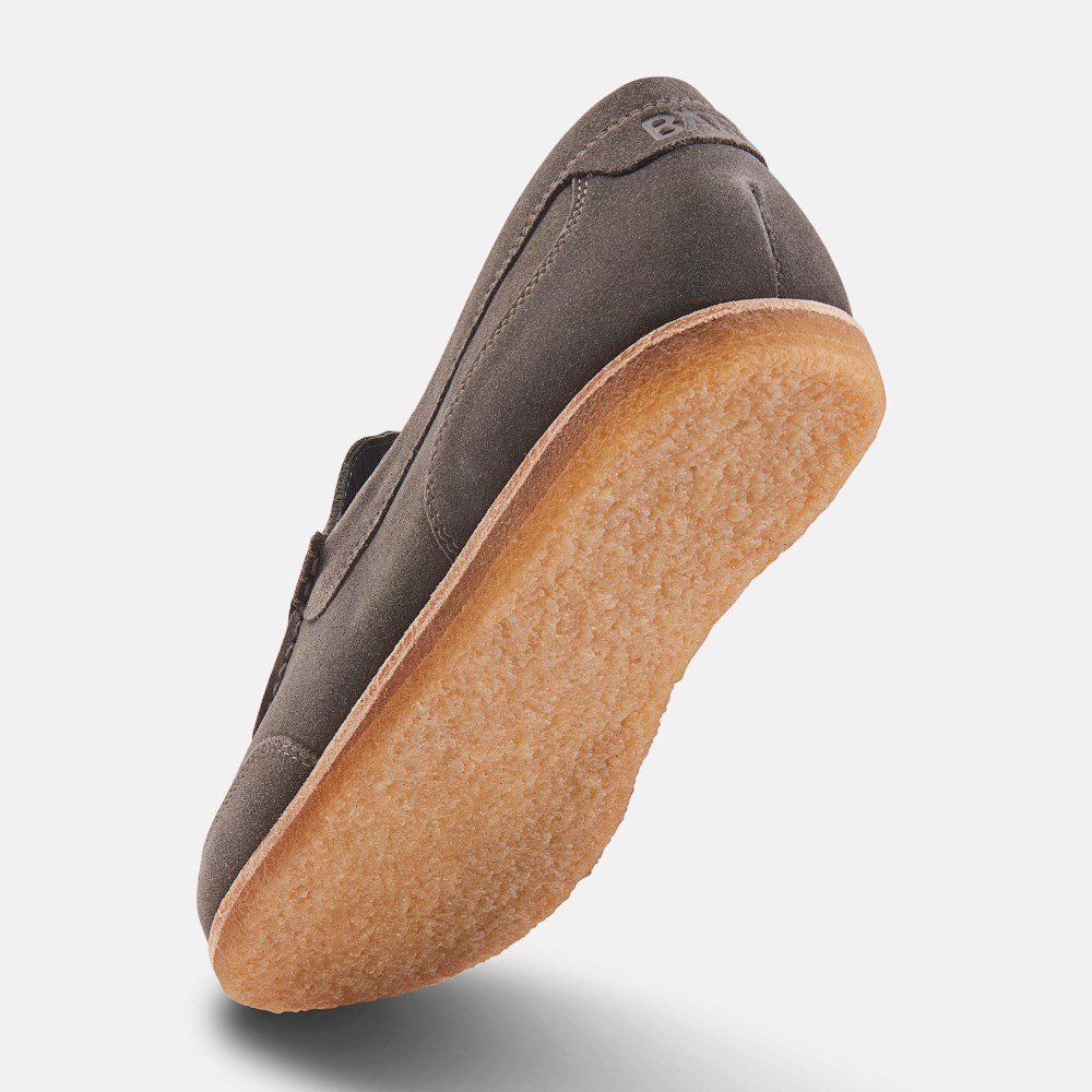 BÄR Timothy - Graubraun