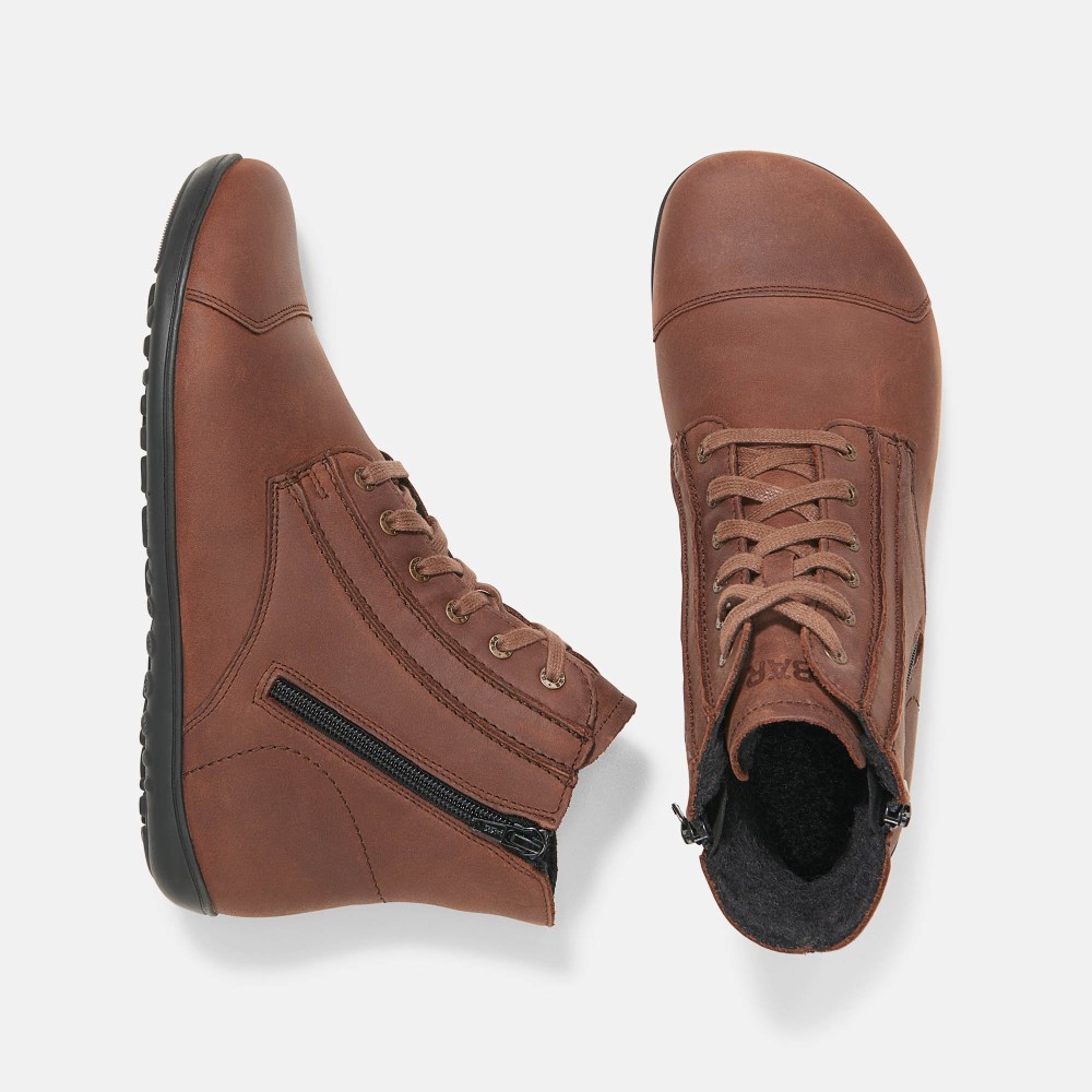 BÄR Jason - Dunkelbraun