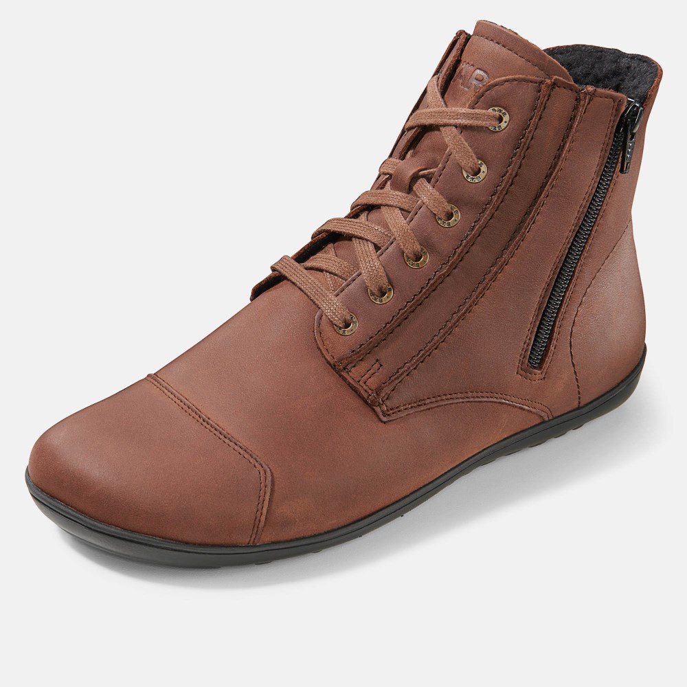 BÄR Jason - Dunkelbraun